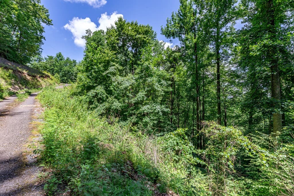 Lot 111C Puett Cove Estates, Marble NC 28905 - Photo