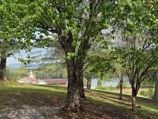 102 Ledford Chapel Road, Hayesville NC 28904 - Photo