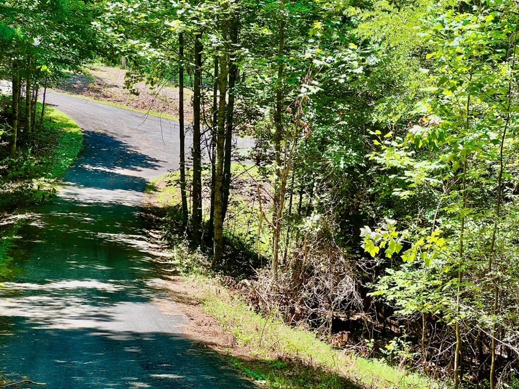 64 Meadow Brooke Drive, Young Harris GA 30582 - Photo