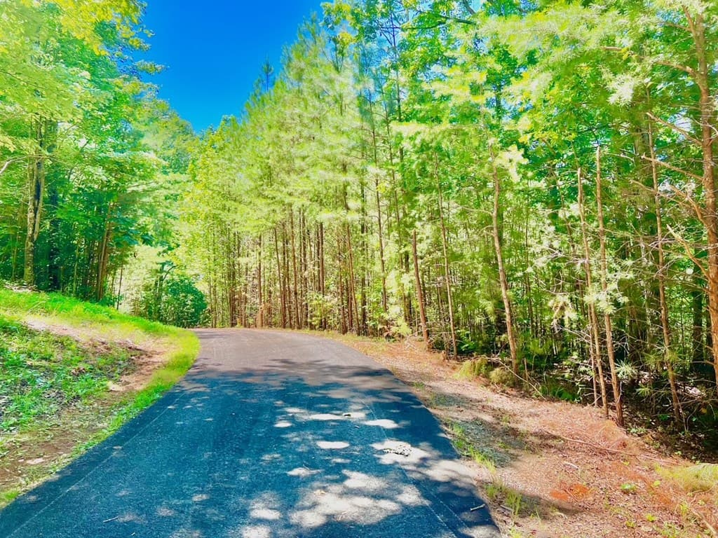64 Meadow Brooke Drive, Young Harris GA 30582 - Photo