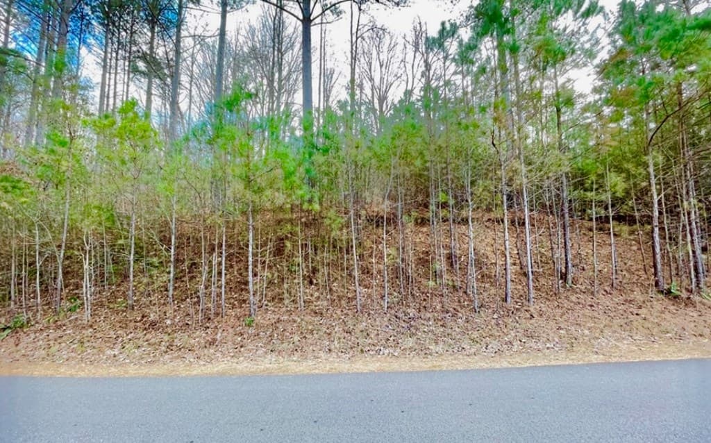 64 Meadow Brooke Drive, Young Harris GA 30582 - Photo