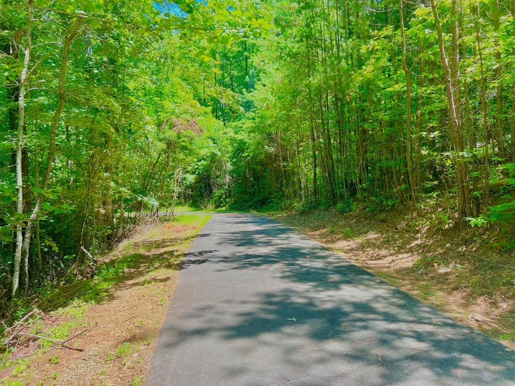 64 Meadow Brooke Drive, Young Harris GA 30582 - Photo