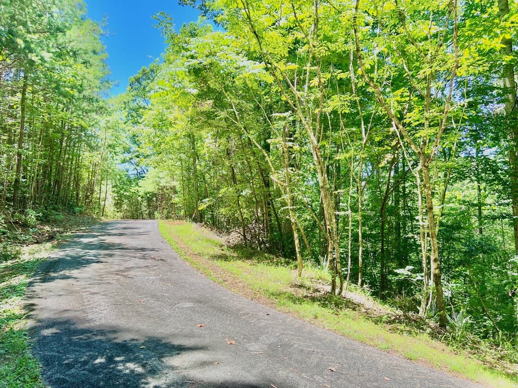64 Meadow Brooke Drive, Young Harris GA 30582 - Photo
