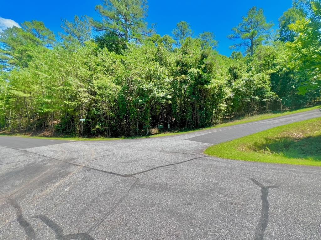 64 Meadow Brooke Drive, Young Harris GA 30582 - Primary photo