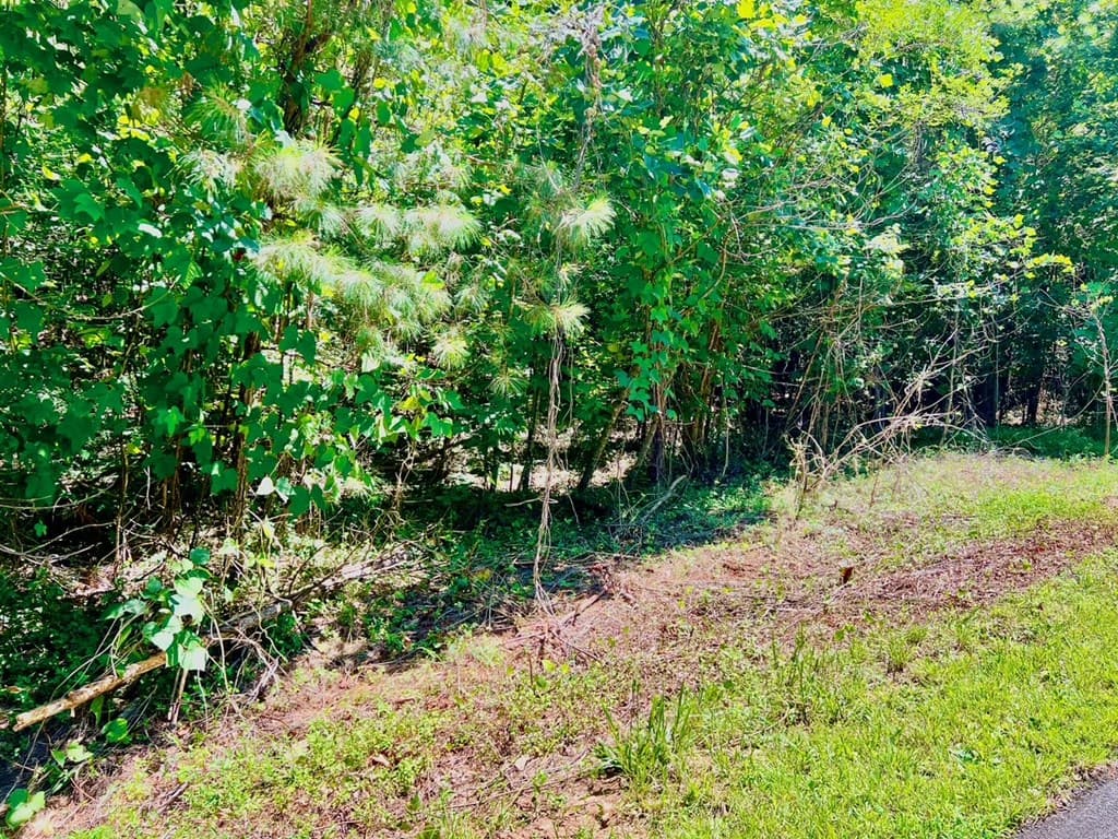 64 Meadow Brooke Drive, Young Harris GA 30582 - Photo
