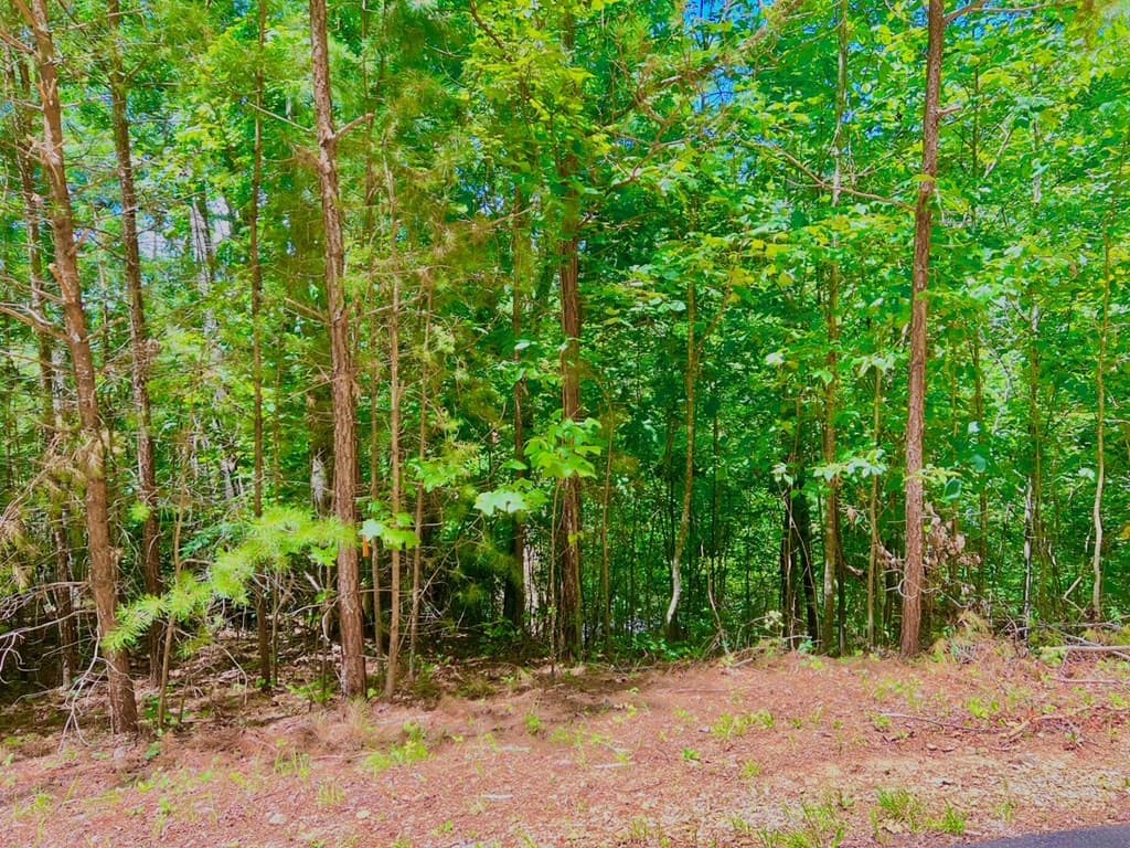 64 Meadow Brooke Drive, Young Harris GA 30582 - Photo