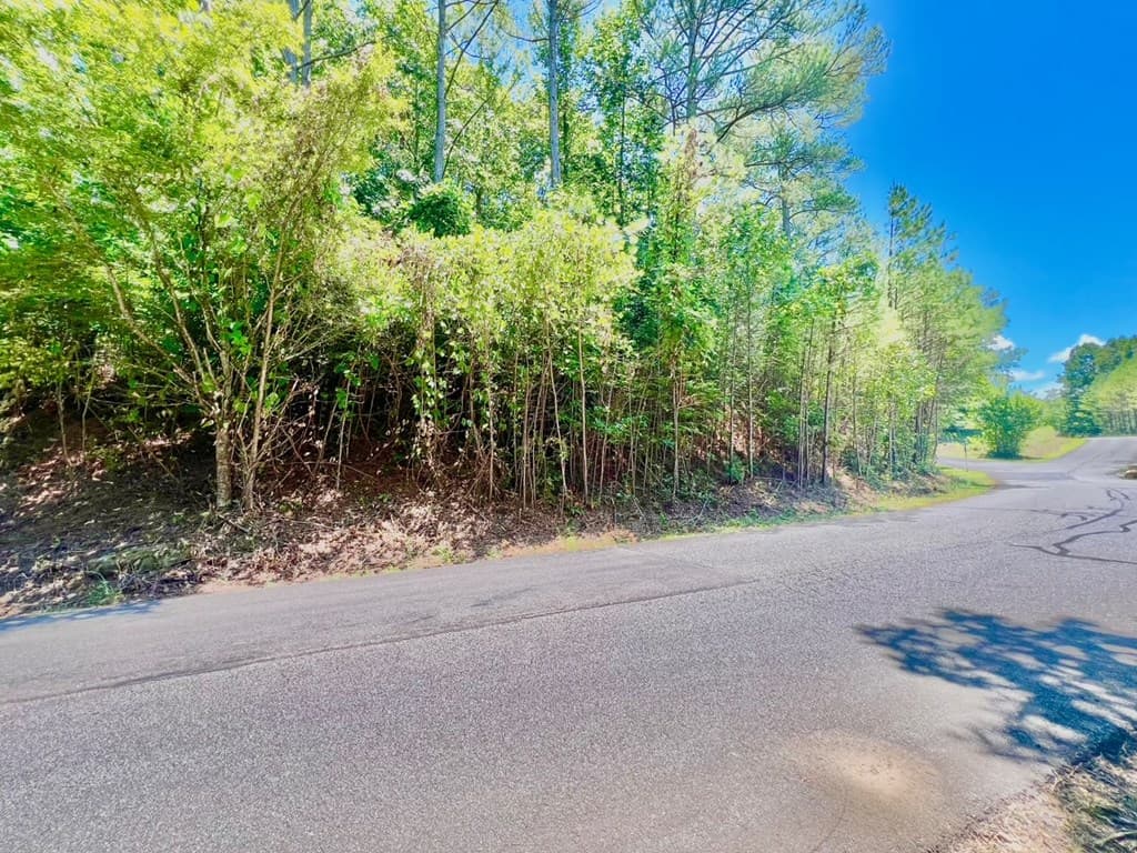 64 Meadow Brooke Drive, Young Harris GA 30582 - Photo