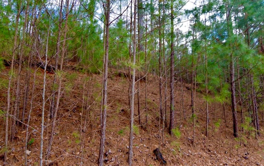 64 Meadow Brooke Drive, Young Harris GA 30582 - Photo