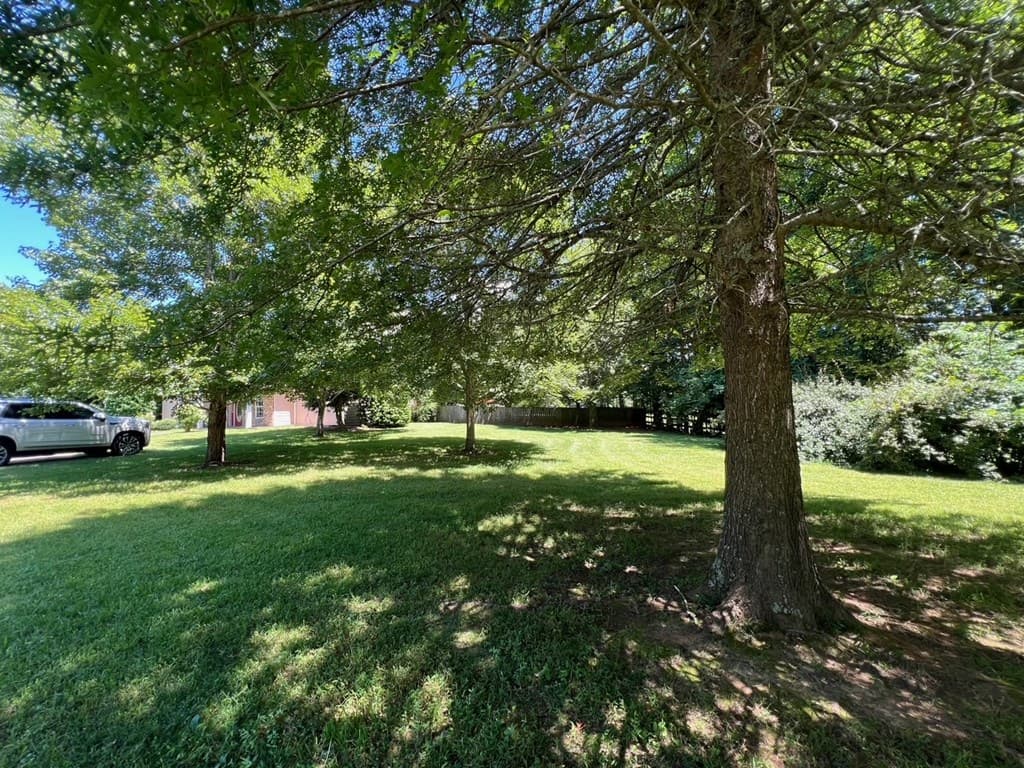 64 Meadow Brooke Drive, Young Harris GA 30582 - Photo