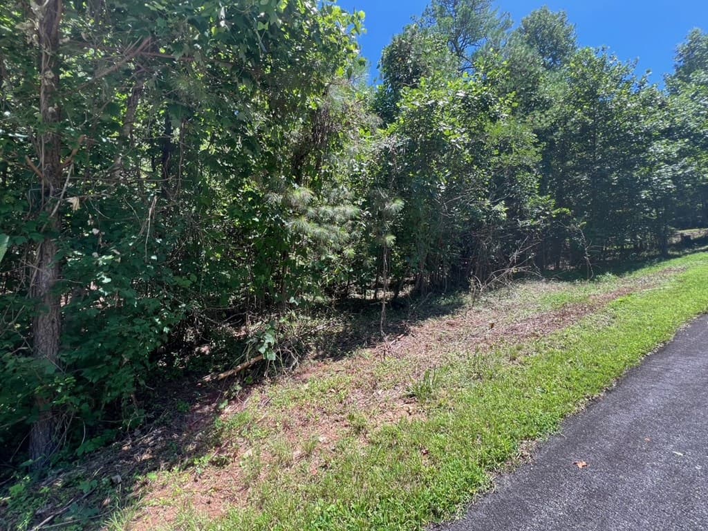 64 Meadow Brooke Drive, Young Harris GA 30582 - Photo