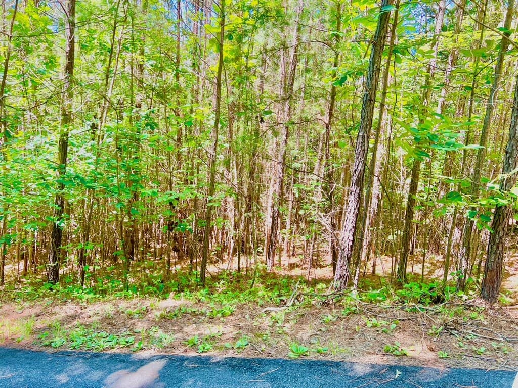64 Meadow Brooke Drive, Young Harris GA 30582 - Photo