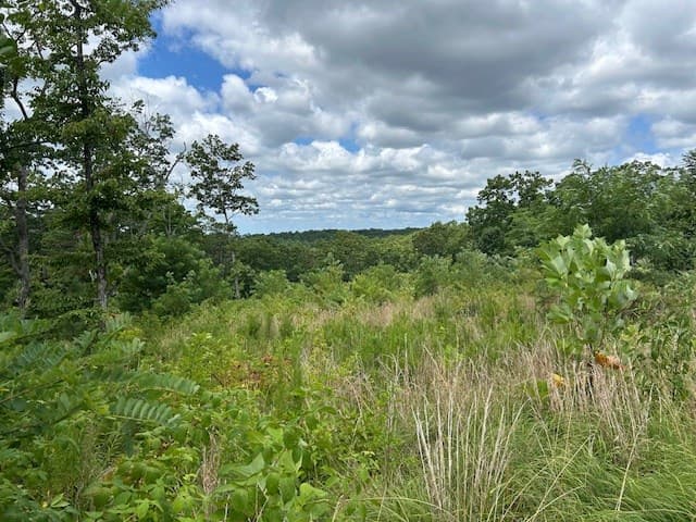 LT 95 Timberline Trail, Talking Rock GA 30175 - Photo