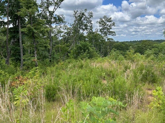 LT 95 Timberline Trail, Talking Rock GA 30175 - Photo