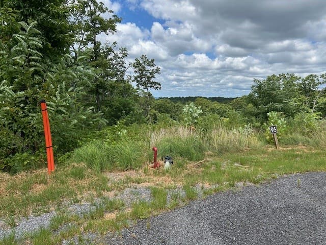 LT 95 Timberline Trail, Talking Rock GA 30175 - Photo
