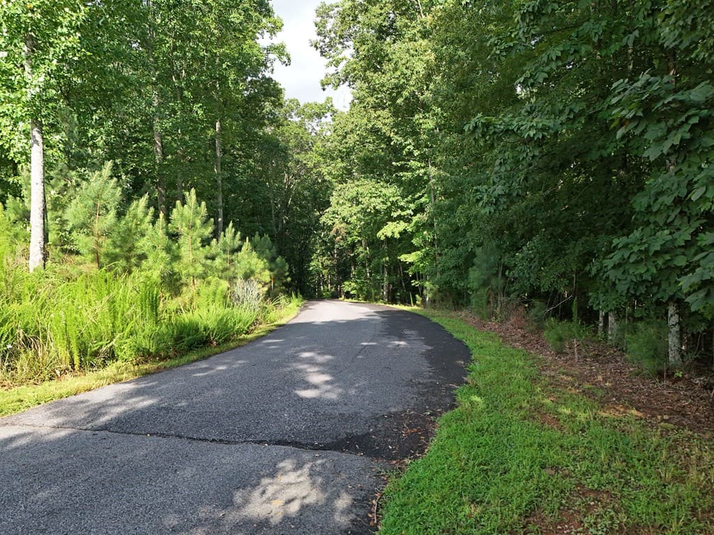 Lot 100 Valley Crest Drive, Blairsville GA 30512 - Photo