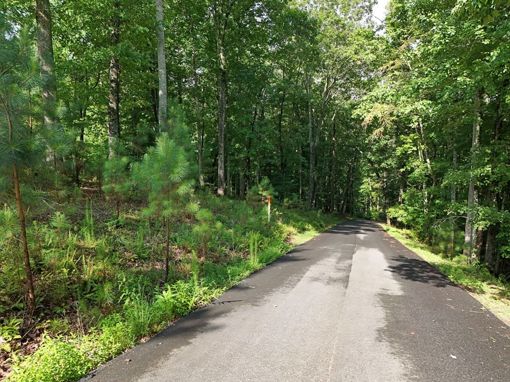 Lot 100 Valley Crest Drive, Blairsville GA 30512 - Photo