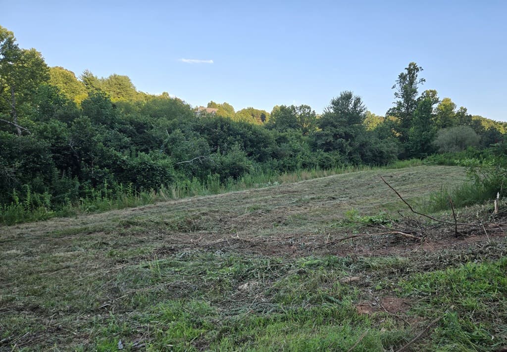 14,15,16 Ashley Drive, Young Harris GA 30582 - Photo