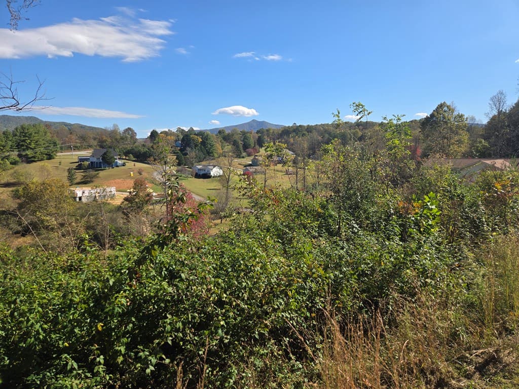14,15,16 Ashley Drive, Young Harris GA 30582 - Photo