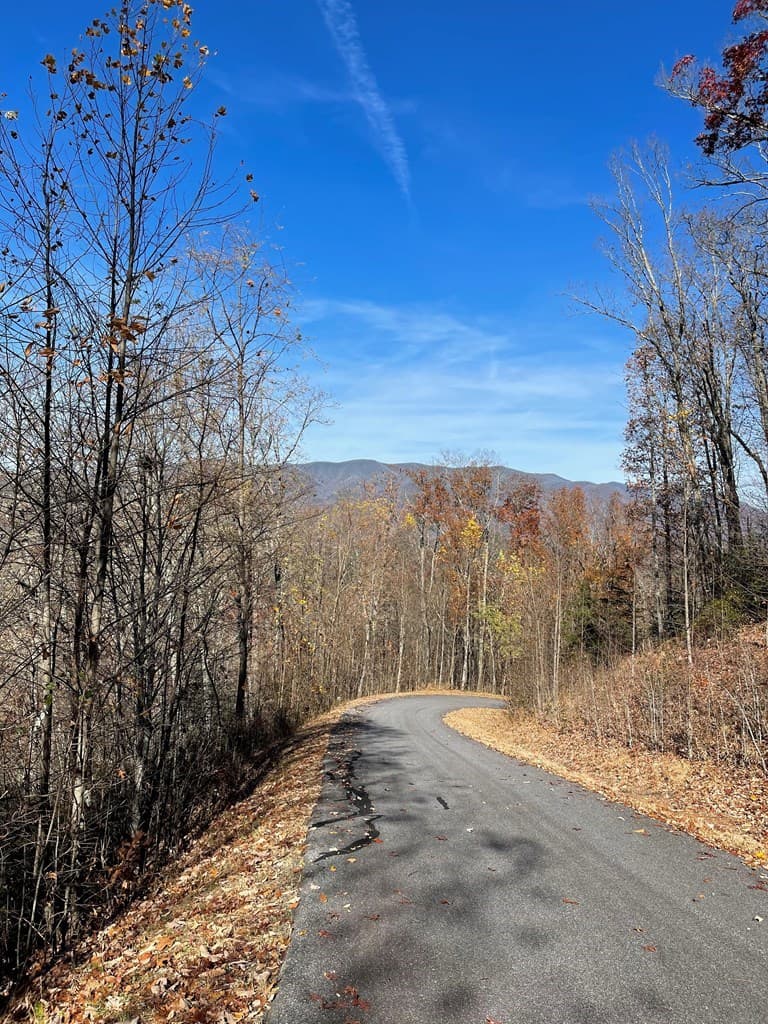Lot 31J Ashe Branch Drive, Hayesville NC 28904 - Photo
