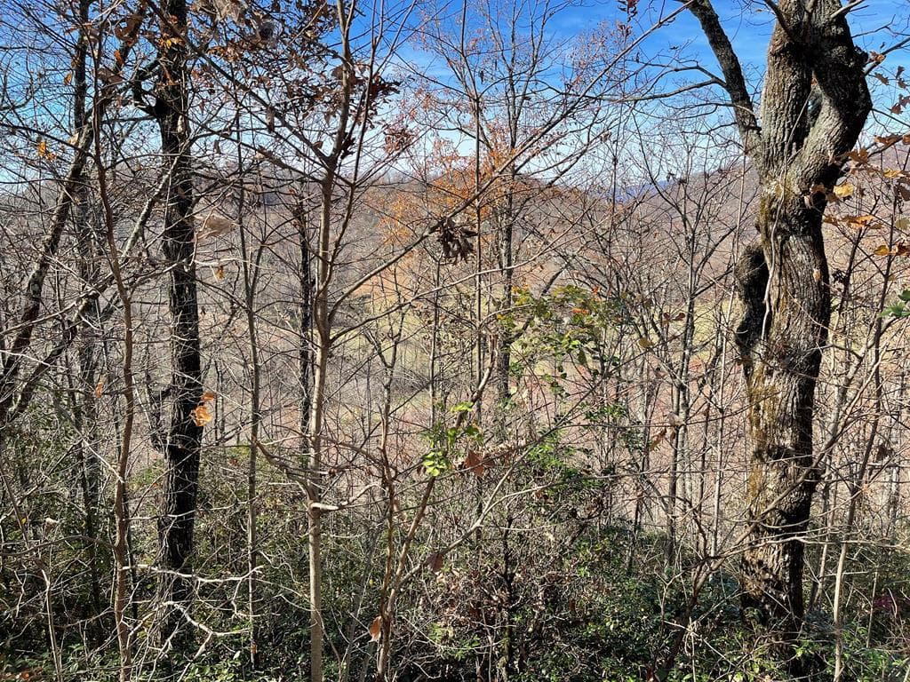 Lot 31J Ashe Branch Drive, Hayesville NC 28904 - Primary photo