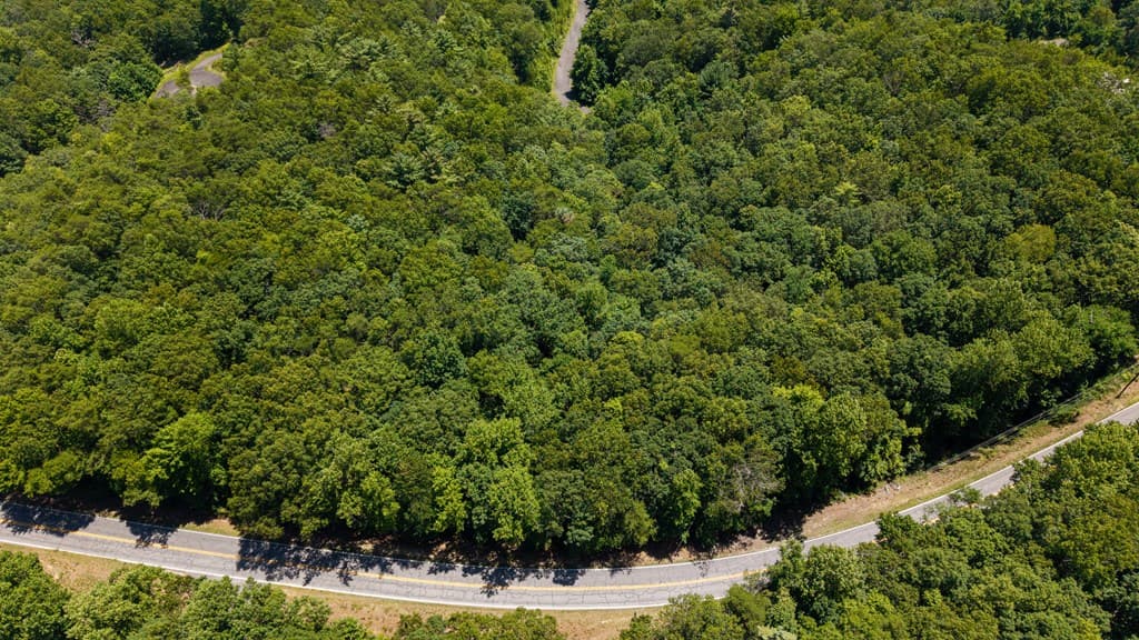 0 Highway 52, Chatsworth GA 30705 - Photo