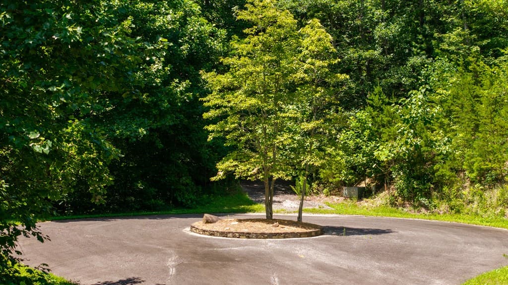 0 Highway 52, Chatsworth GA 30705 - Photo
