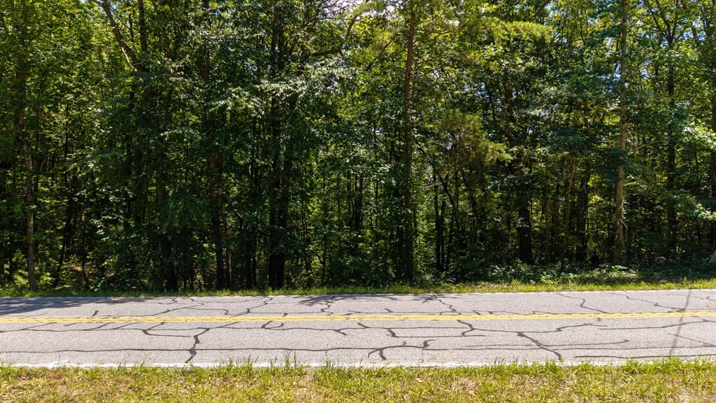 0 Highway 52, Chatsworth GA 30705 - Photo
