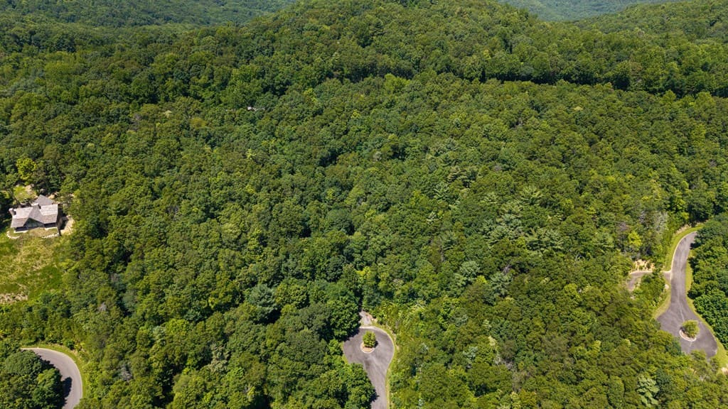 0 Highway 52, Chatsworth GA 30705 - Photo