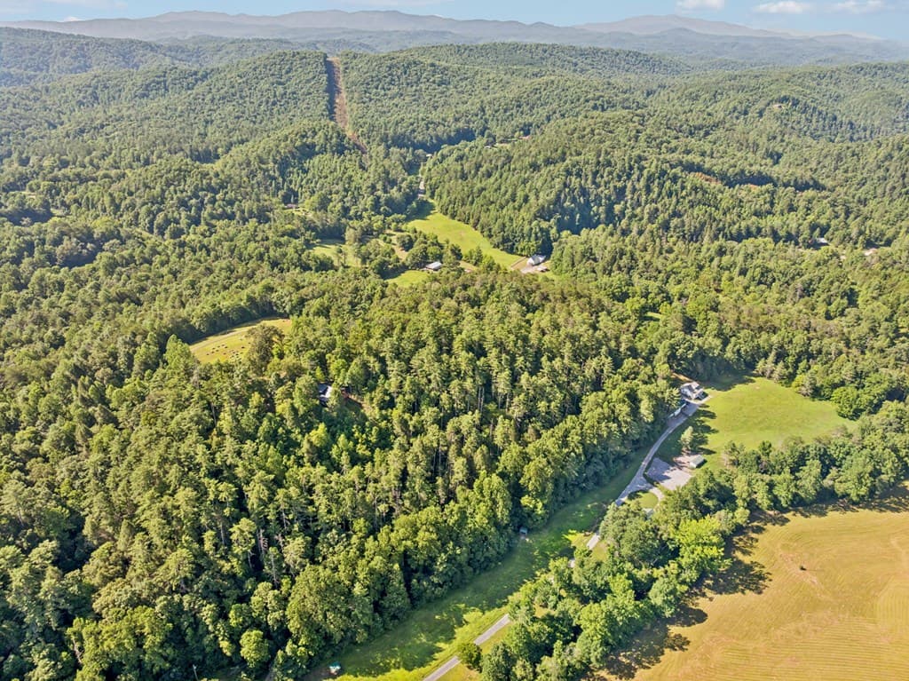 106 Fletcher Drive, Reliance TN 37369 - Photo
