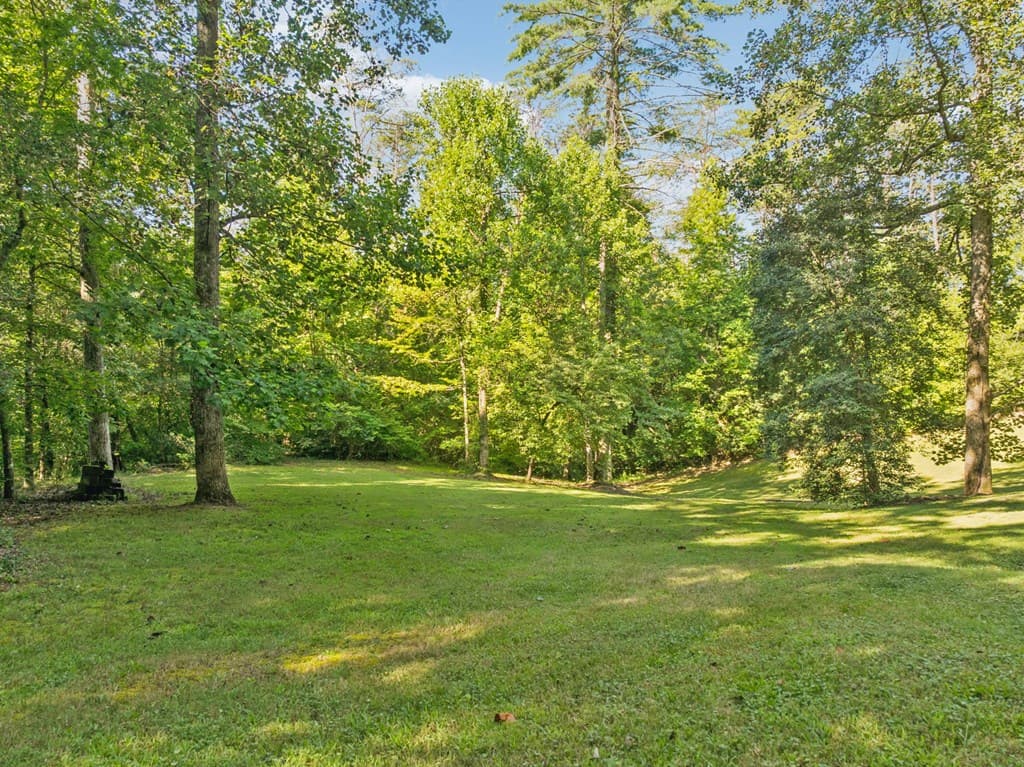 106 Fletcher Drive, Reliance TN 37369 - Photo