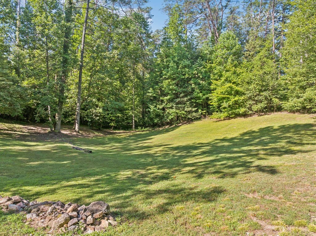 106 Fletcher Drive, Reliance TN 37369 - Photo