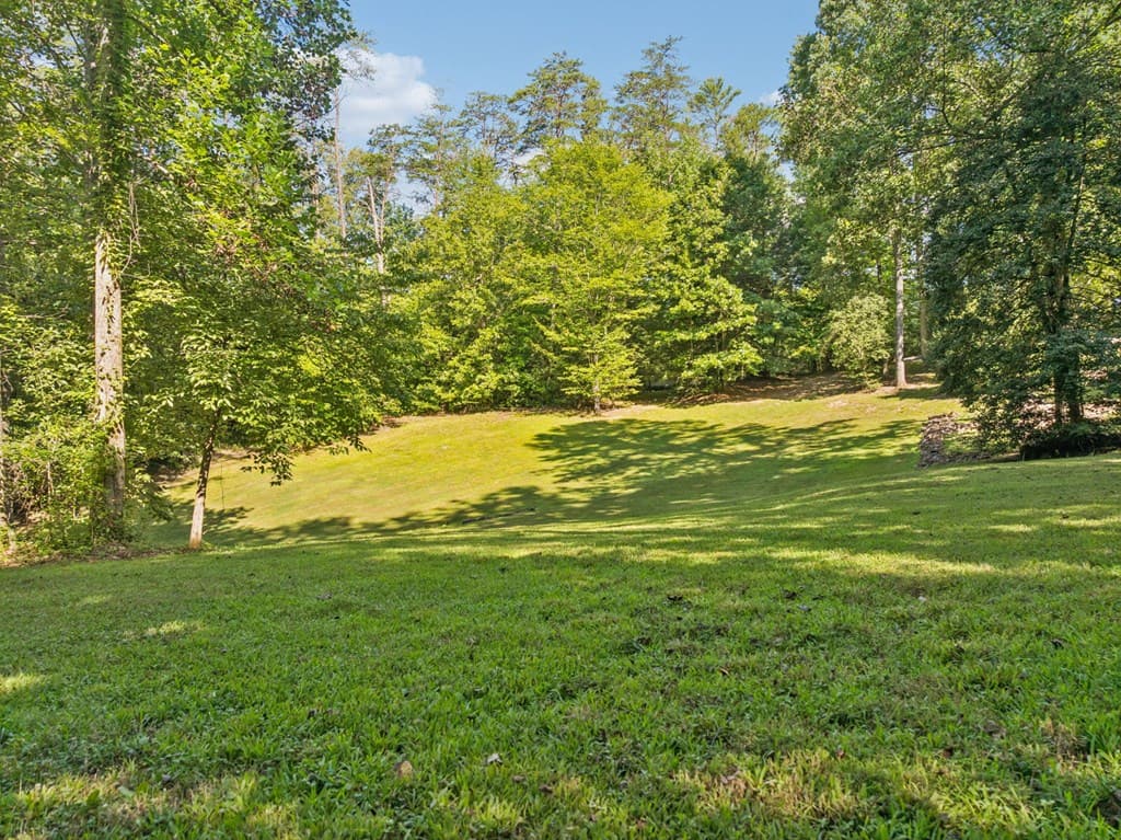 106 Fletcher Drive, Reliance TN 37369 - Photo