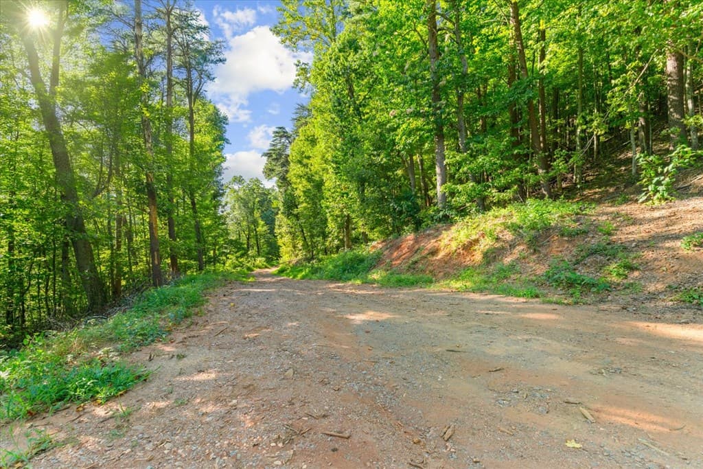 Lot 4-5 Firetower Road, Jasper GA 30143 - Photo