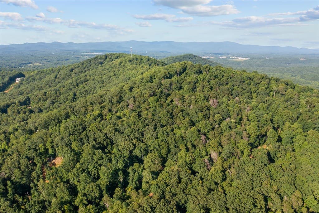 Lot 4-5 Firetower Road, Jasper GA 30143 - Photo