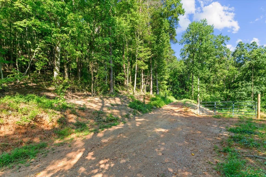 Lot 4-5 Firetower Road, Jasper GA 30143 - Photo