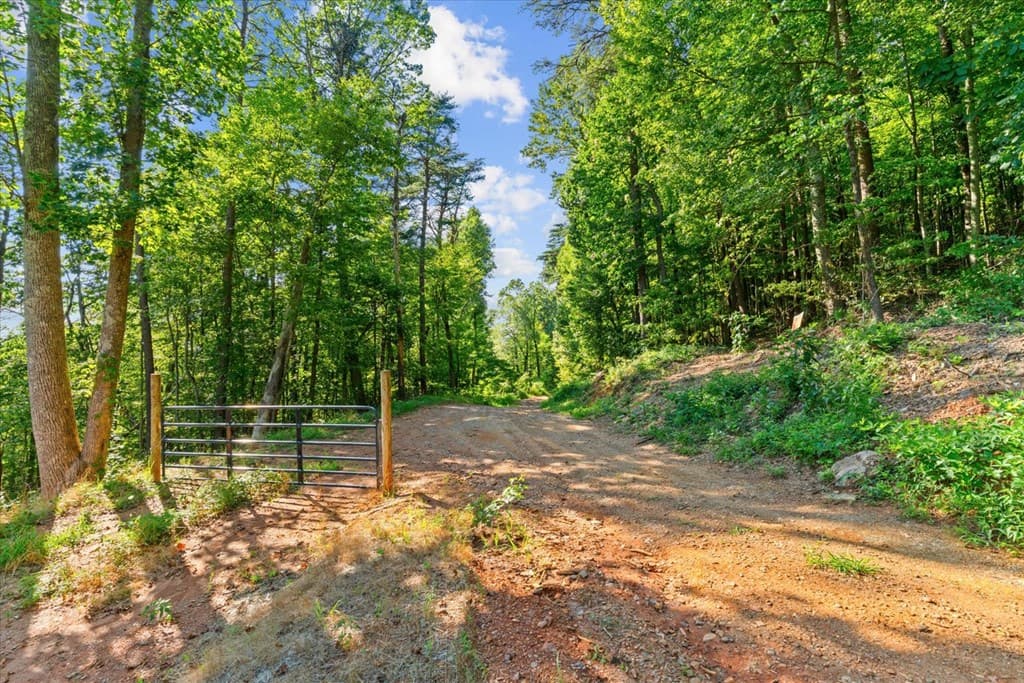 Lot 4-5 Firetower Road, Jasper GA 30143 - Photo