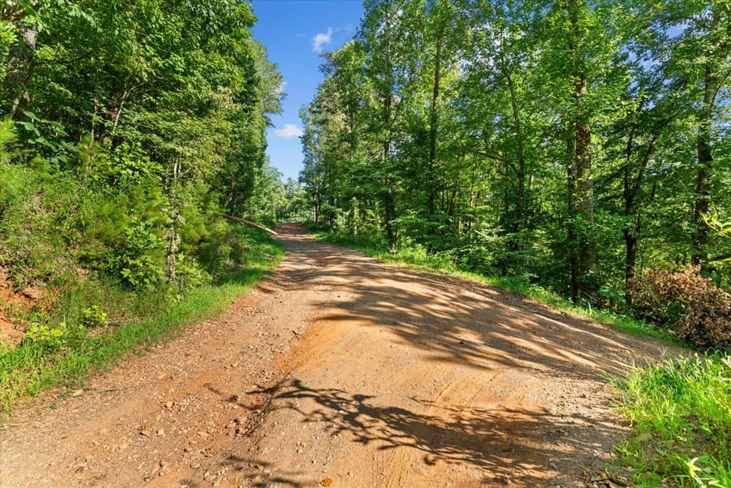 Lot 4-5 Firetower Road, Jasper GA 30143 - Photo