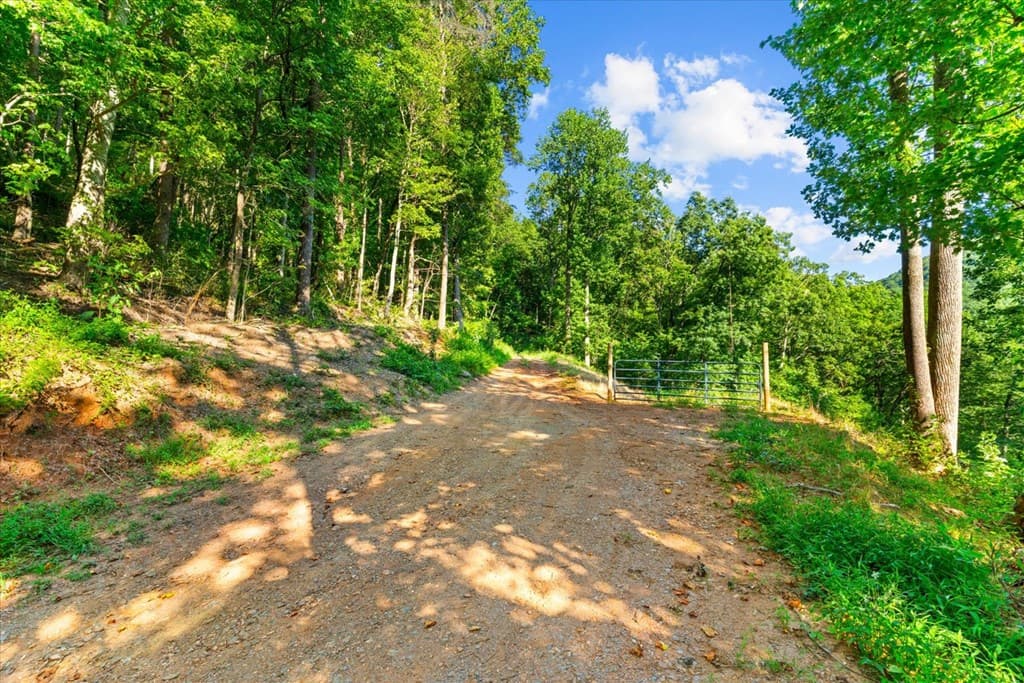Lot 4-5 Firetower Road, Jasper GA 30143 - Photo