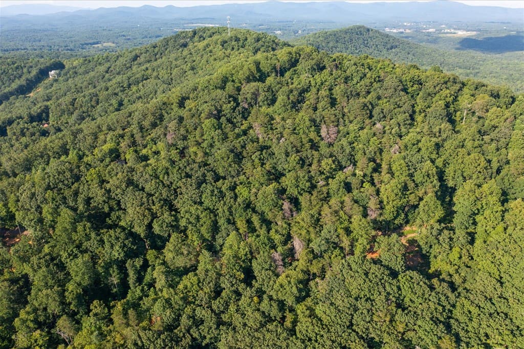 Lot 4-5 Firetower Road, Jasper GA 30143 - Photo