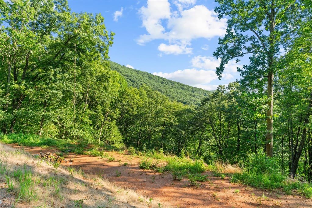 Lot 4-5 Firetower Road, Jasper GA 30143 - Photo