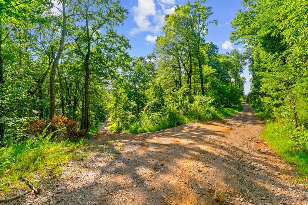 Lot 4-5 Firetower Road, Jasper GA 30143 - Photo