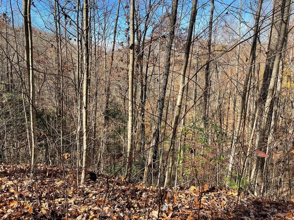 Lot 49J Indian Trail, Hayesville NC 28904 - Primary photo