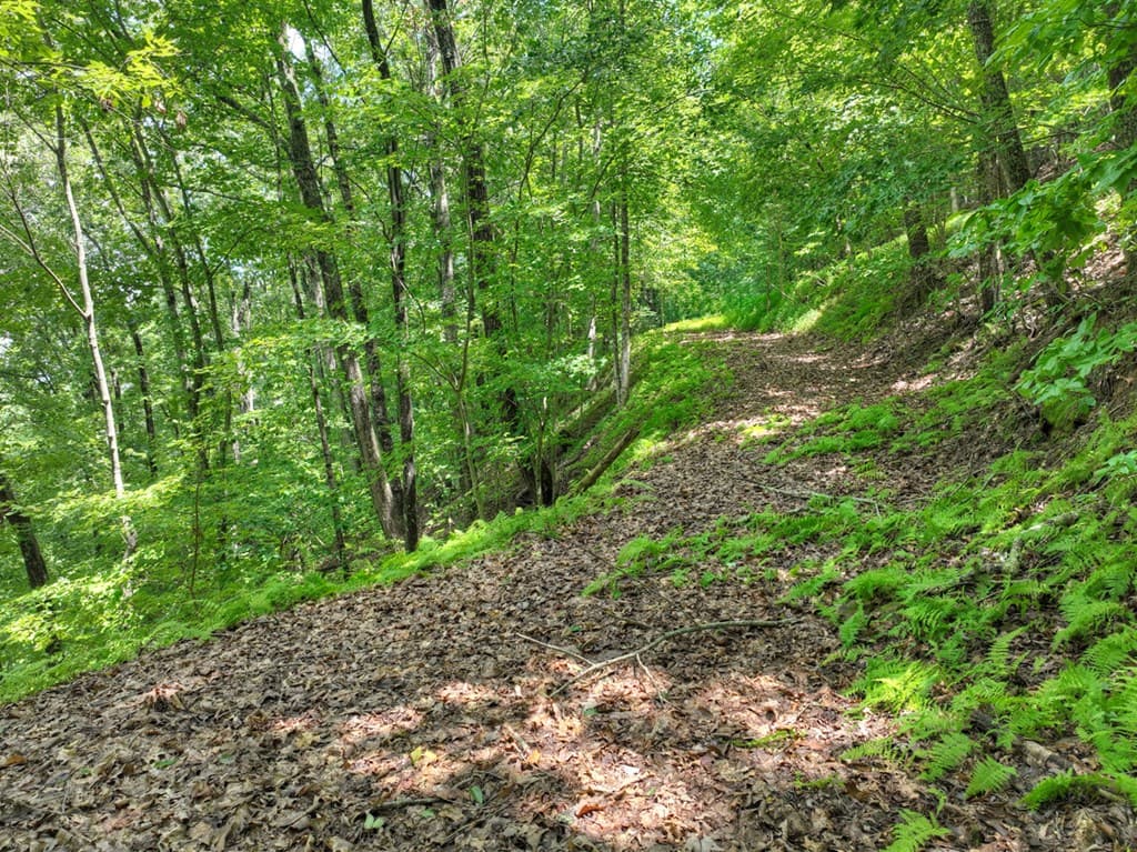 LOT 20 Locust Lane, Morganton GA 30560 - Photo