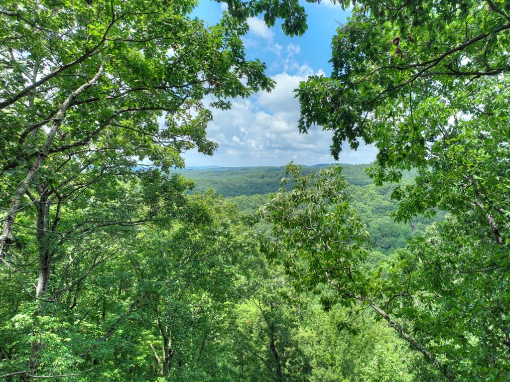 LOT 20 Locust Lane, Morganton GA 30560 - Photo