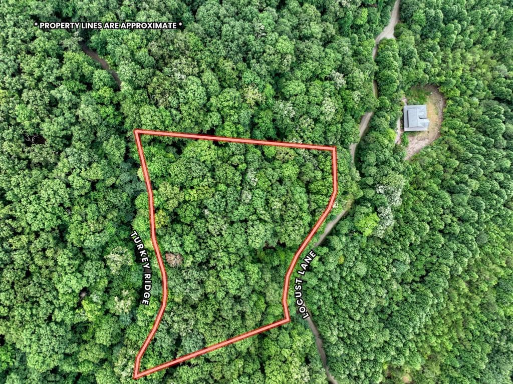 LOT 20 Locust Lane, Morganton GA 30560 - Photo