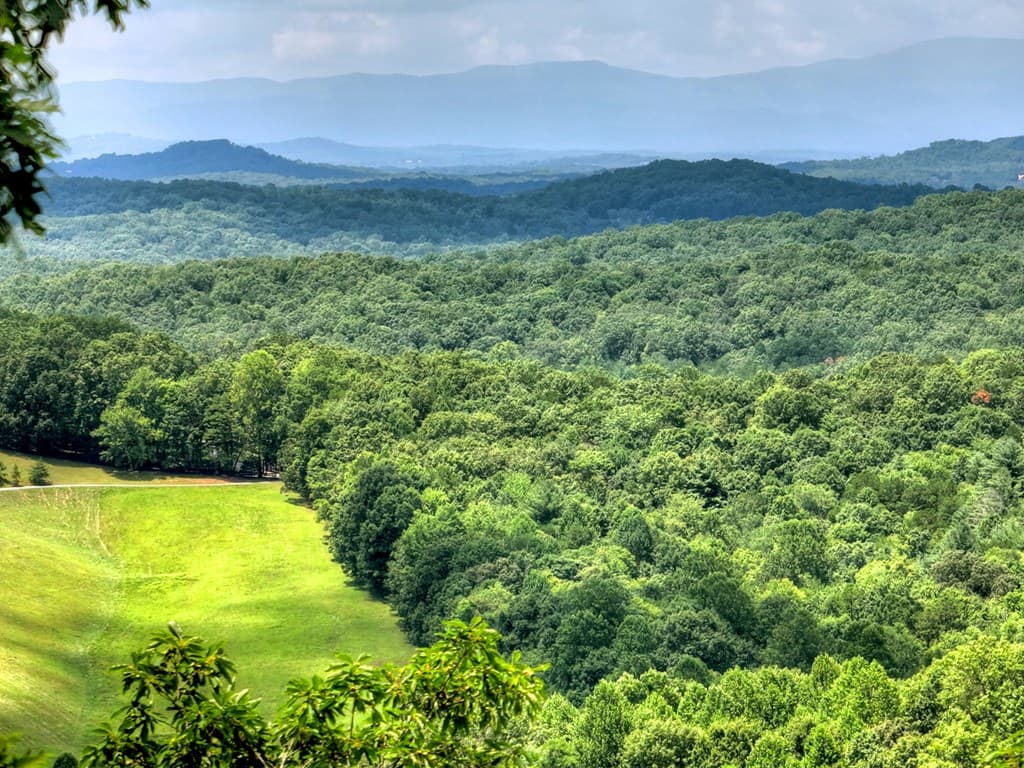LOT 20 Locust Lane, Morganton GA 30560 - Photo