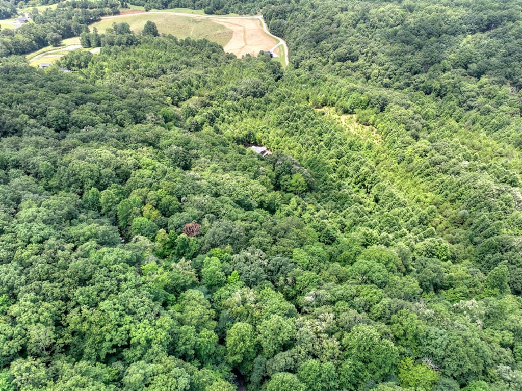 LOT 20 Locust Lane, Morganton GA 30560 - Photo