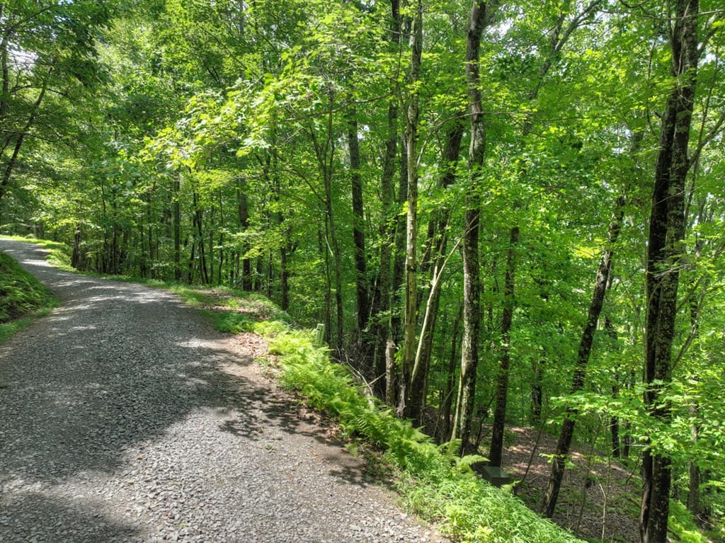 LOT 20 Locust Lane, Morganton GA 30560 - Photo