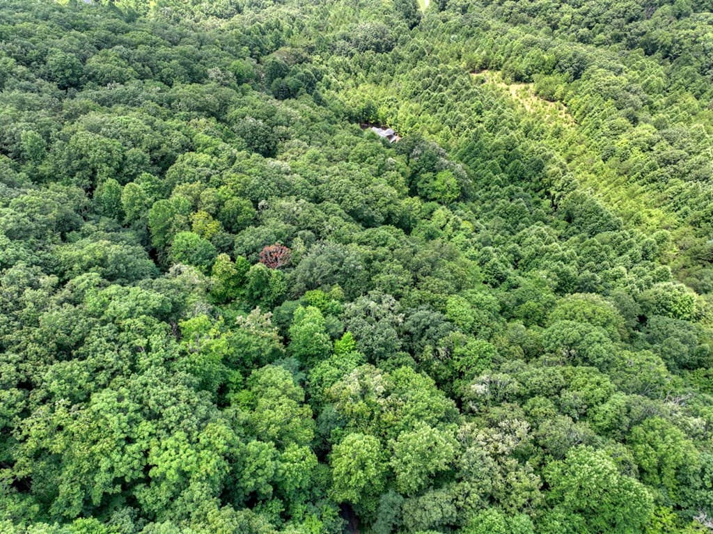 LOT 20 Locust Lane, Morganton GA 30560 - Photo