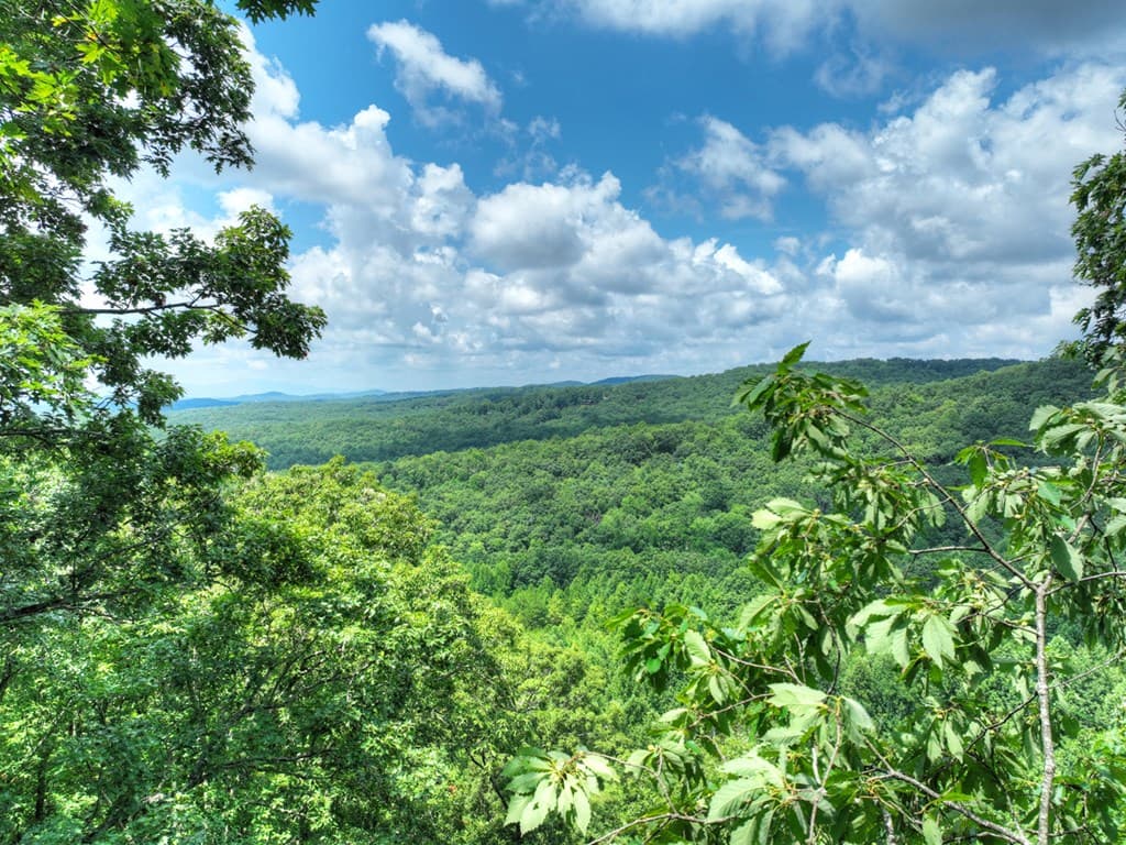 LOT 20 Locust Lane, Morganton GA 30560 - Photo